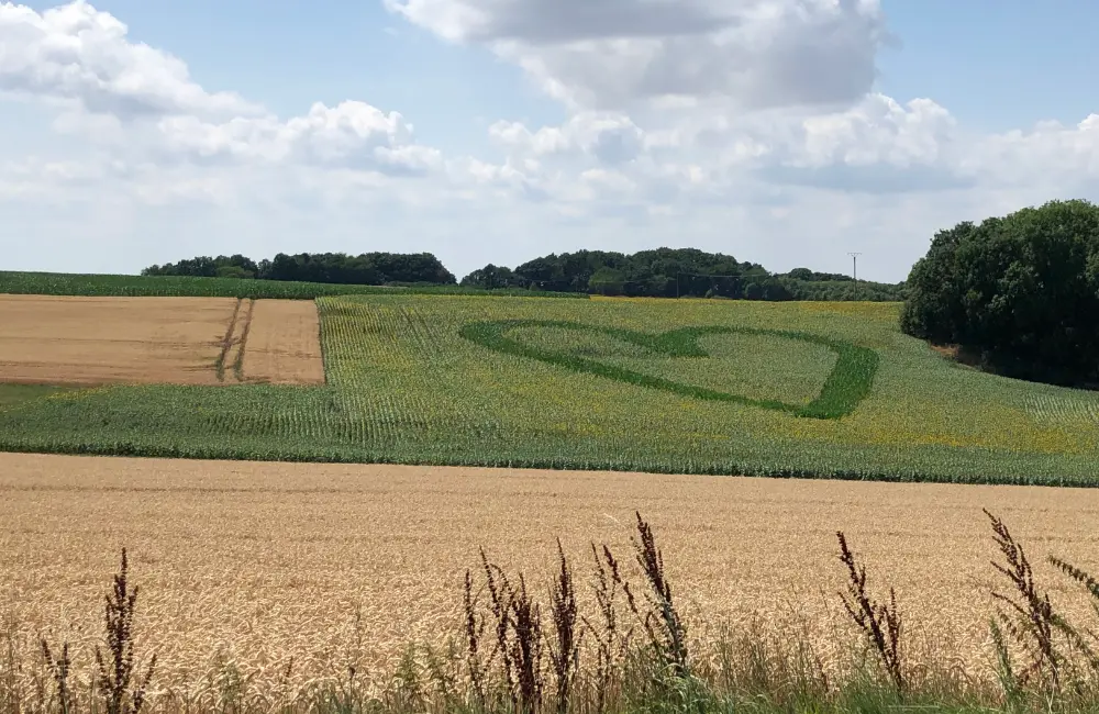 Neukirchen Knüll Rotkäppchenland